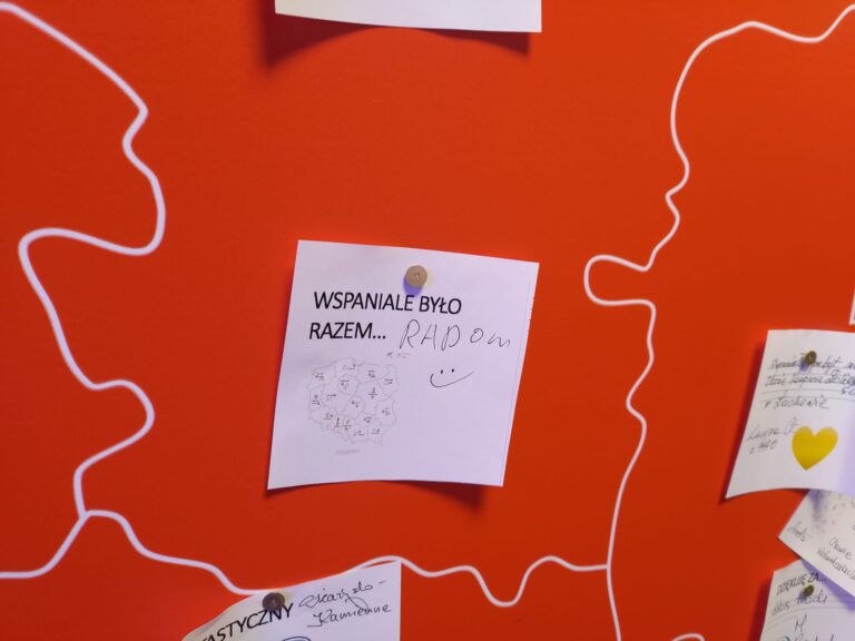 Zadanie publiczne: Partnerstwo dla Wolontariatu – Korpus Solidarności