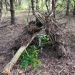 557395734_122201987660292055_2157891367048064477_n