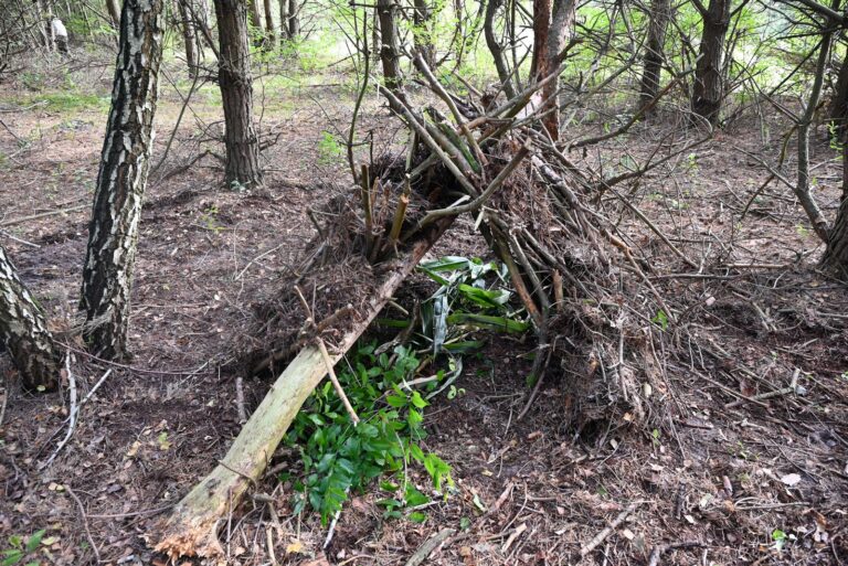 Szkolenie survivalowe w ramach projektu „Gotowi na kryzys”