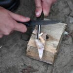 557777942_122202114218292055_3354662783024446974_n