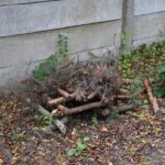 558000865_122202115874292055_8810595956953291266_n