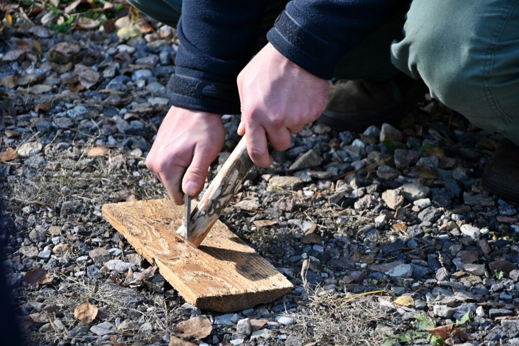 571560968_122204376686292055_1664755068860937421_n-1024x683